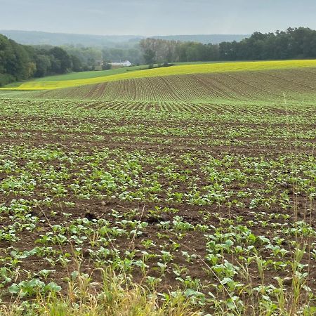 Wolfshaegen 180 Lägenhet Huldenberg Exteriör bild