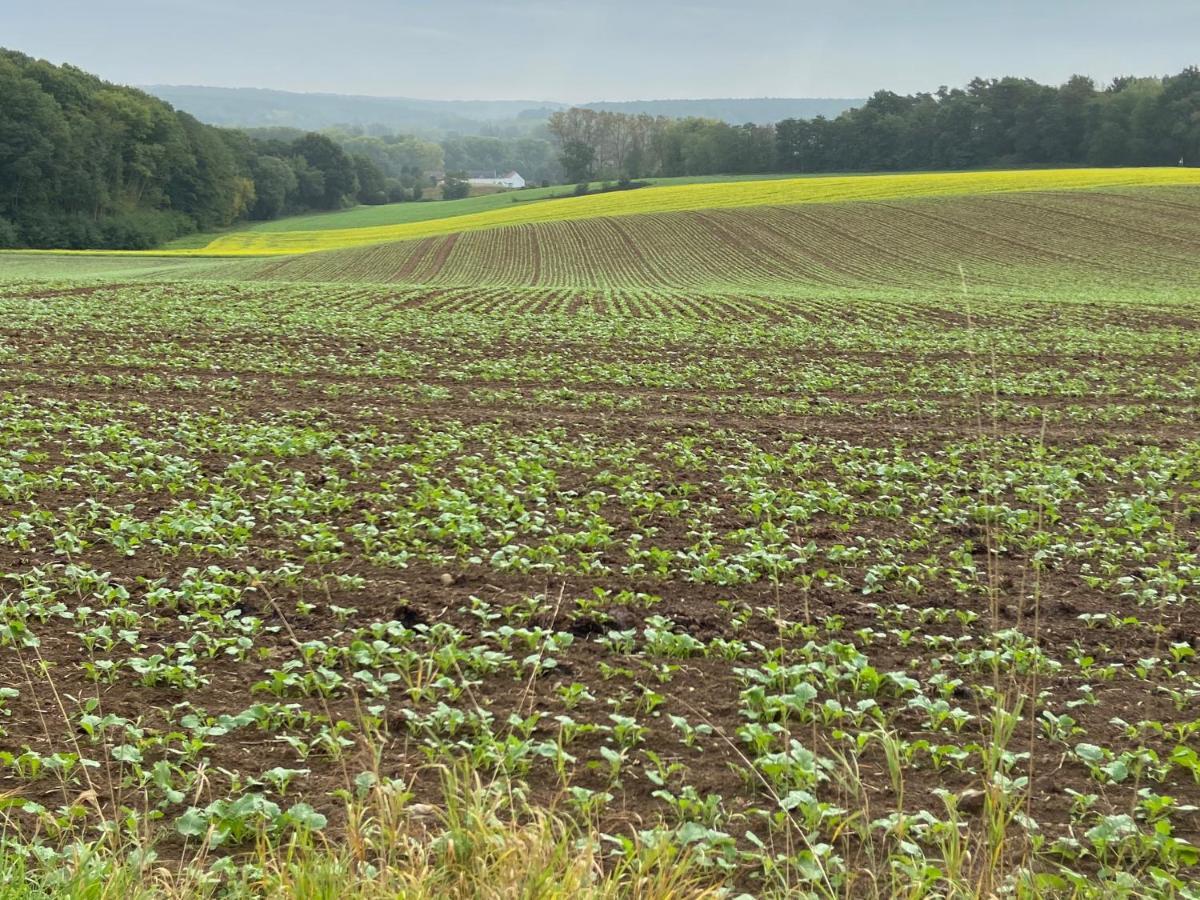 Wolfshaegen 180 Lägenhet Huldenberg Exteriör bild